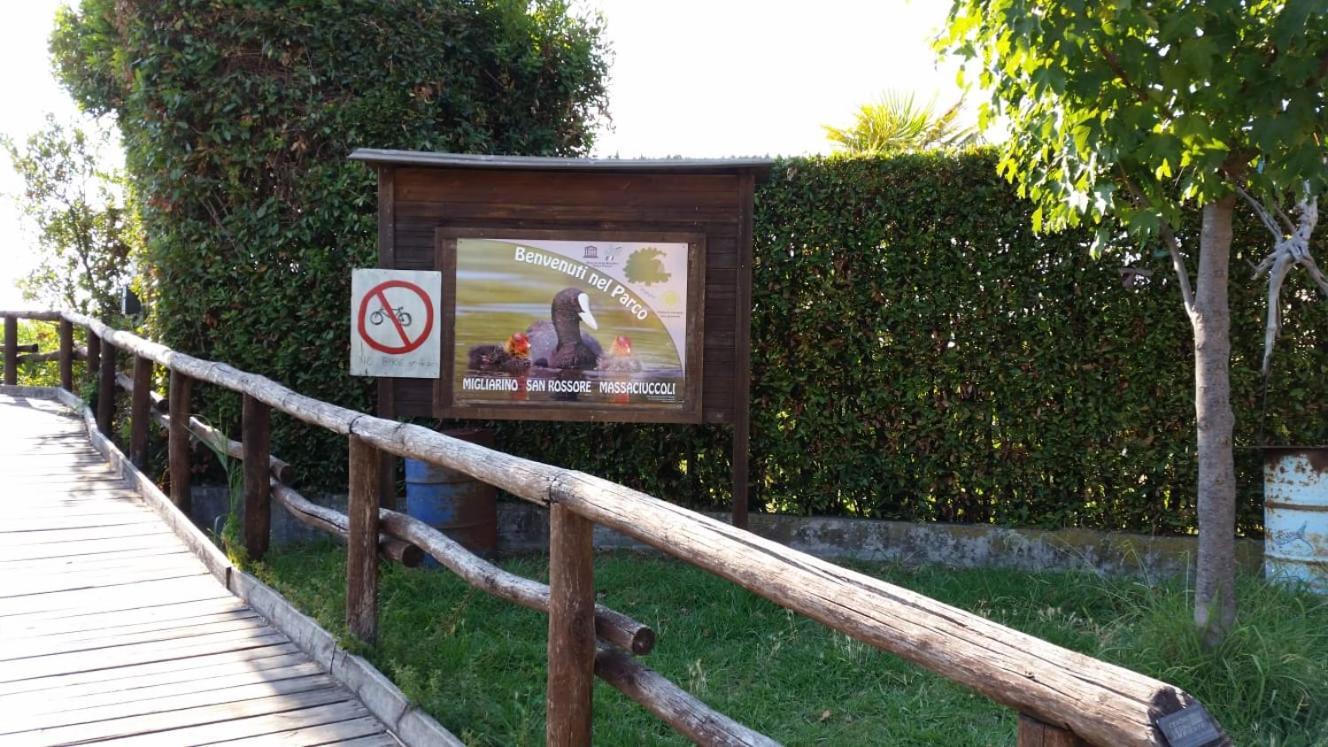 Villa Twetty Massaciuccoli エクステリア 写真